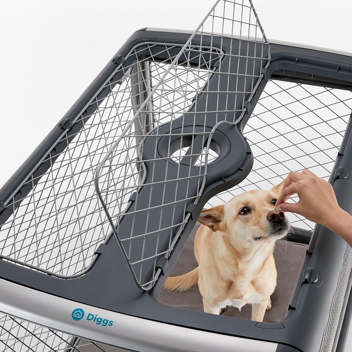 Portable Folding Dog Crate