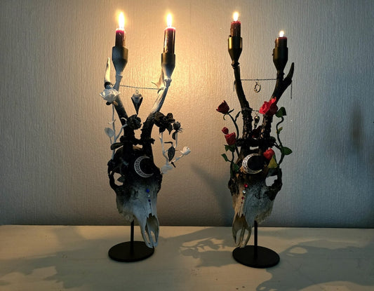 Real Roe Deer Skull Candle Holder Art