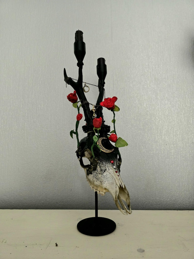 Real Roe Deer Skull Candle Holder Art